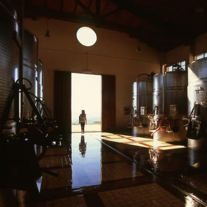 バリオ ディ グリーシ ヴィオニエ 2022 【BAGLIO DI GRISI VIOGNIER  2022】BIO白ワイン