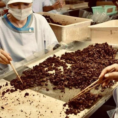製造工程