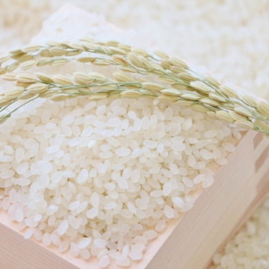 初代田蔵 選りすぐり4種食べくらべお米のギフトセット KURA-3 | 株式