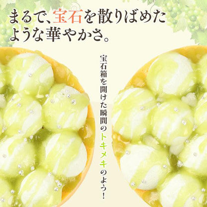 【送料無料】濃厚チーズケーキ マスカット | 京都フレーバーズ