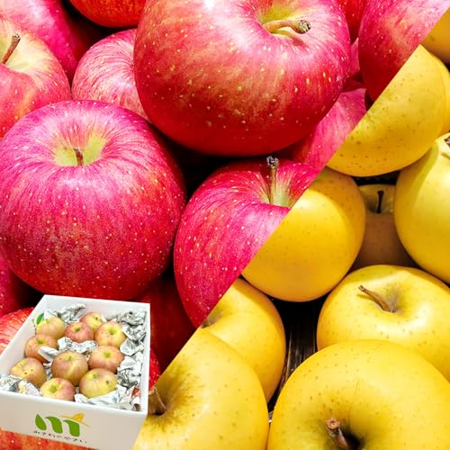 りんご 訳あり ご家庭用 長野県産 おまかせ品種3kg/5kg/10kg | みさわのやさい