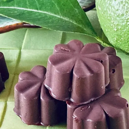 ホワイト＆ミルク＆ビター＆生チョコ詰合わせ＜15個＞オーガニックチョコ使用