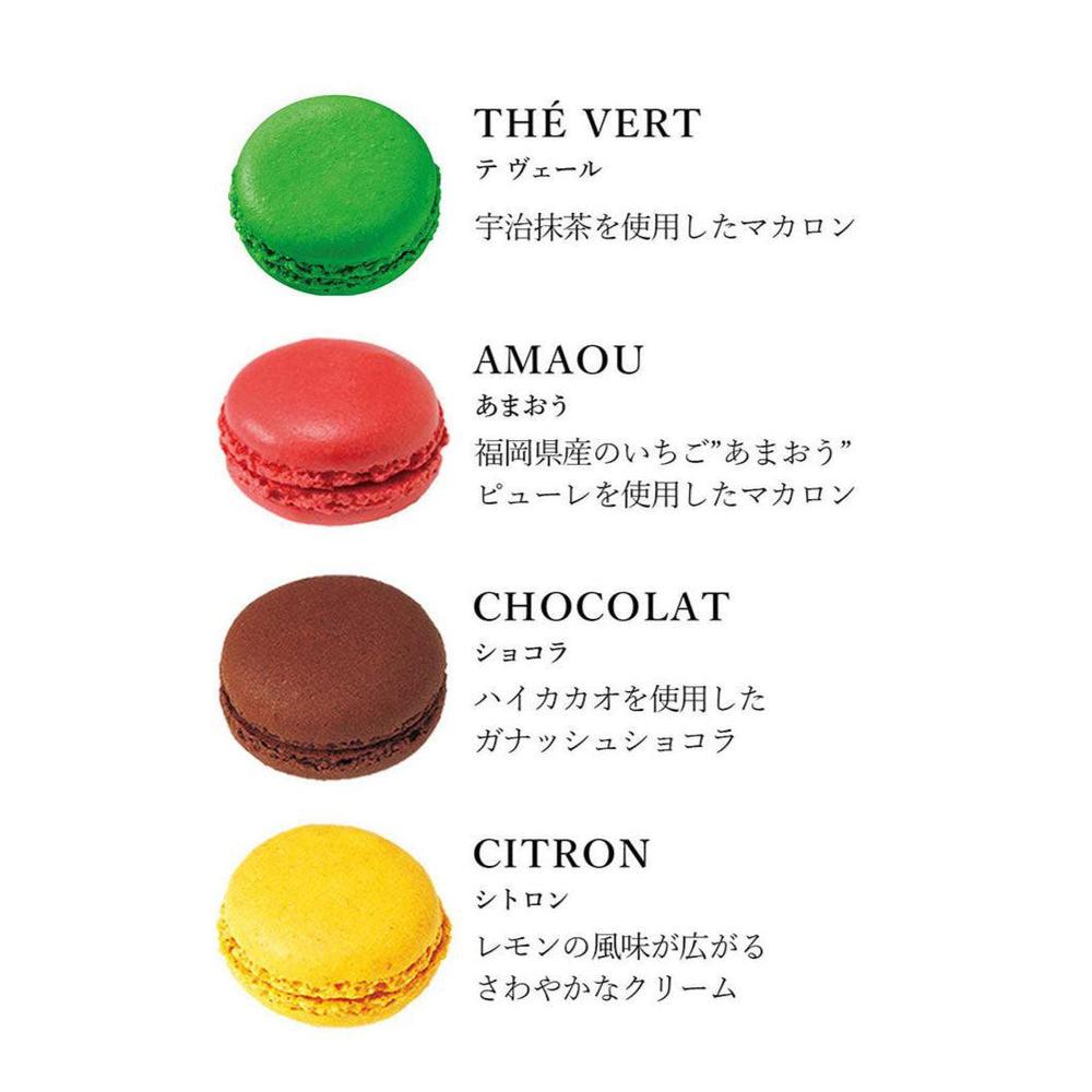 マカロンドゥミセック詰め合わせ（小） | DALLOYAU