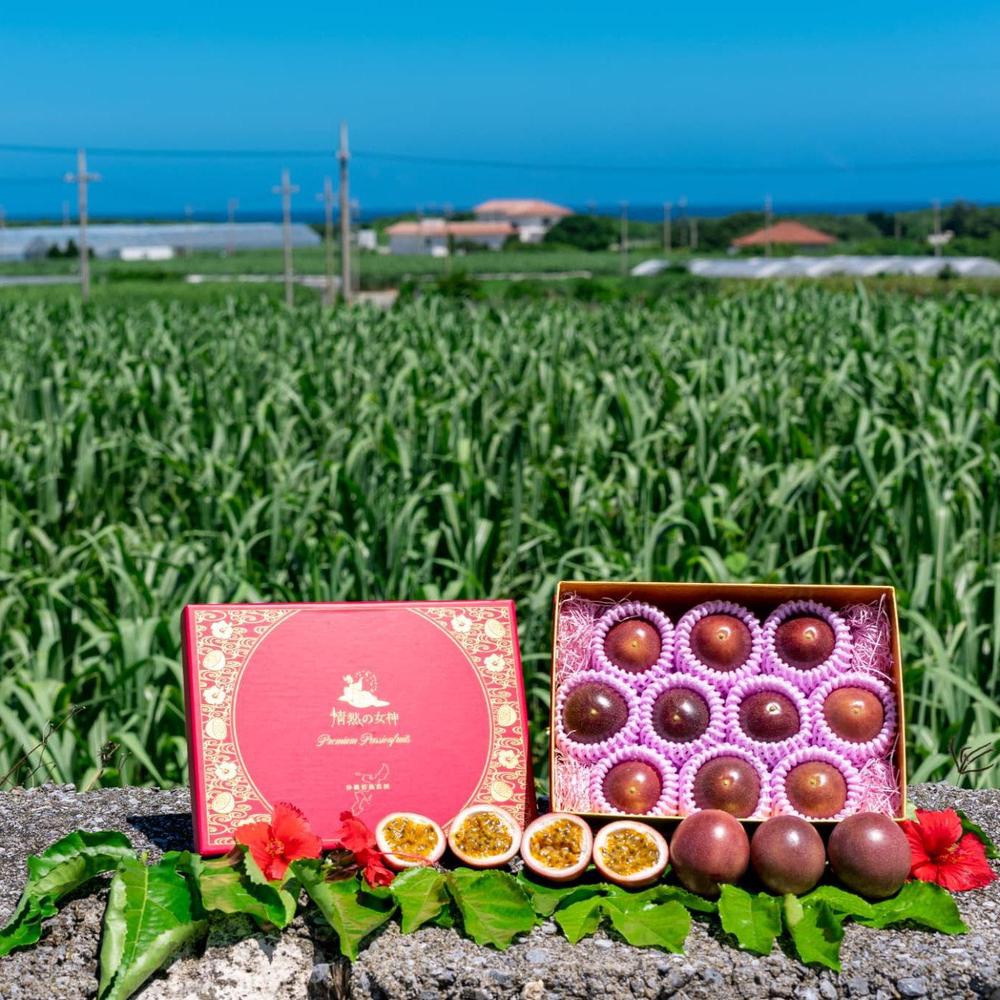 doTERRA パイン＊パッションフルーツバラ売り可♪