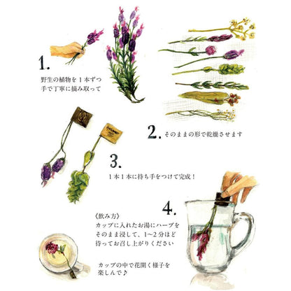 【送料込】スルタン ソリマン ハーブティー 6種入り [6 stems box of Sultan](1個/2個/3個/4個/5個) | LE BÉNÉFIQUE