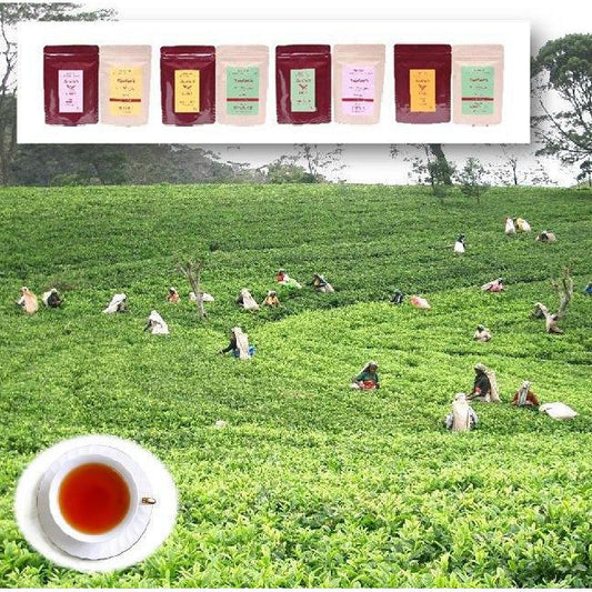 リーフ･ティーバッグ 組合せ / 4種より1種選択 | Tea-Develop （ティーディべロップ）