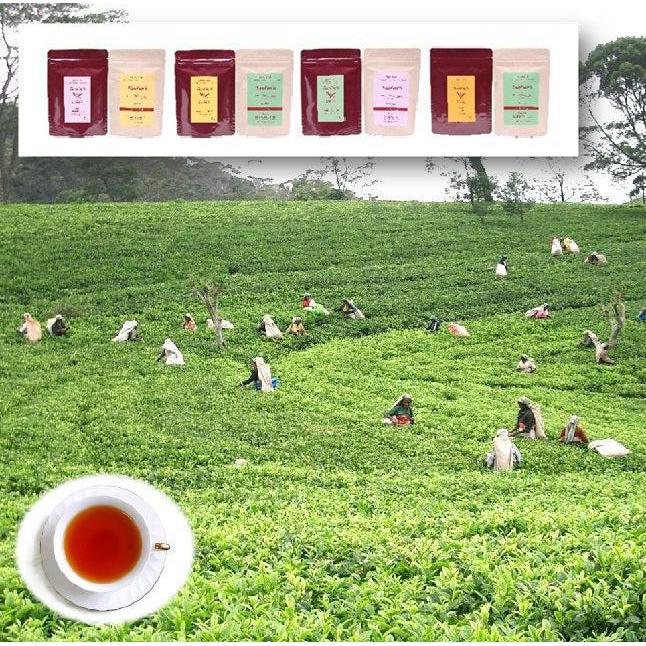リーフ･ティーバッグ 組合せ / 4種より1種選択 | Tea-Develop （ティーディべロップ）