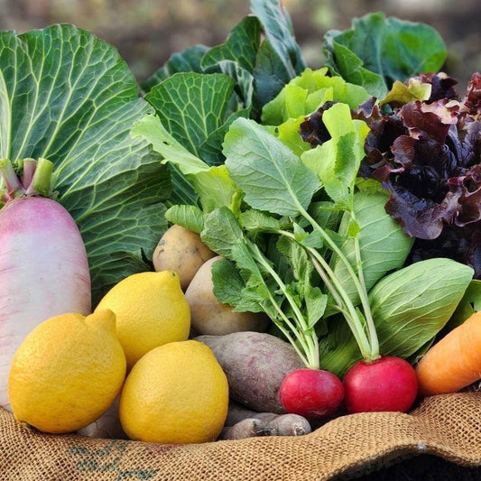 季節の有機野菜セット＜ライト＞