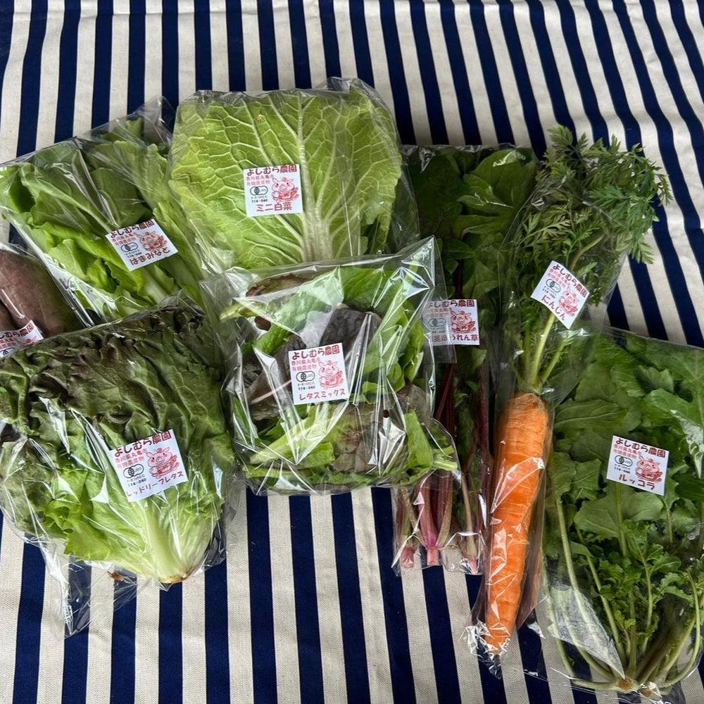 季節の有機野菜セット＜ライト＞