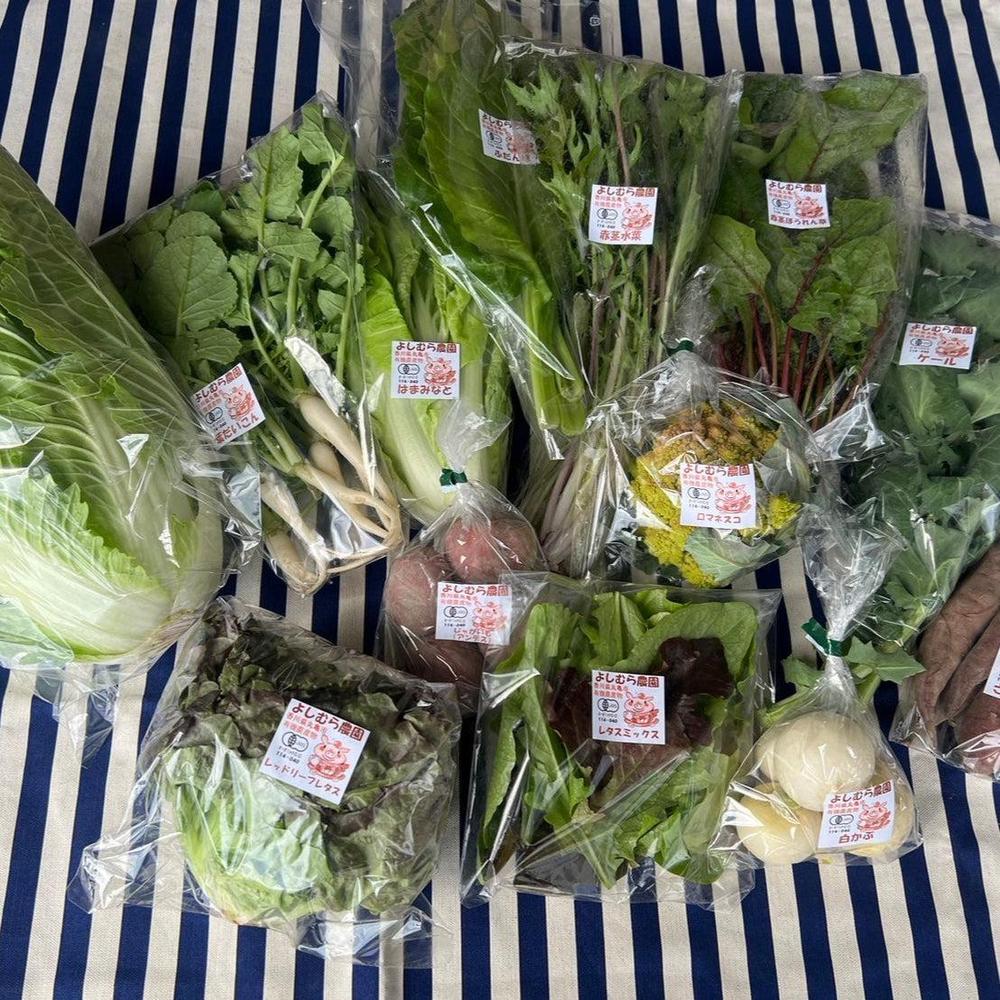 季節の有機野菜セット＜レギュラー＞