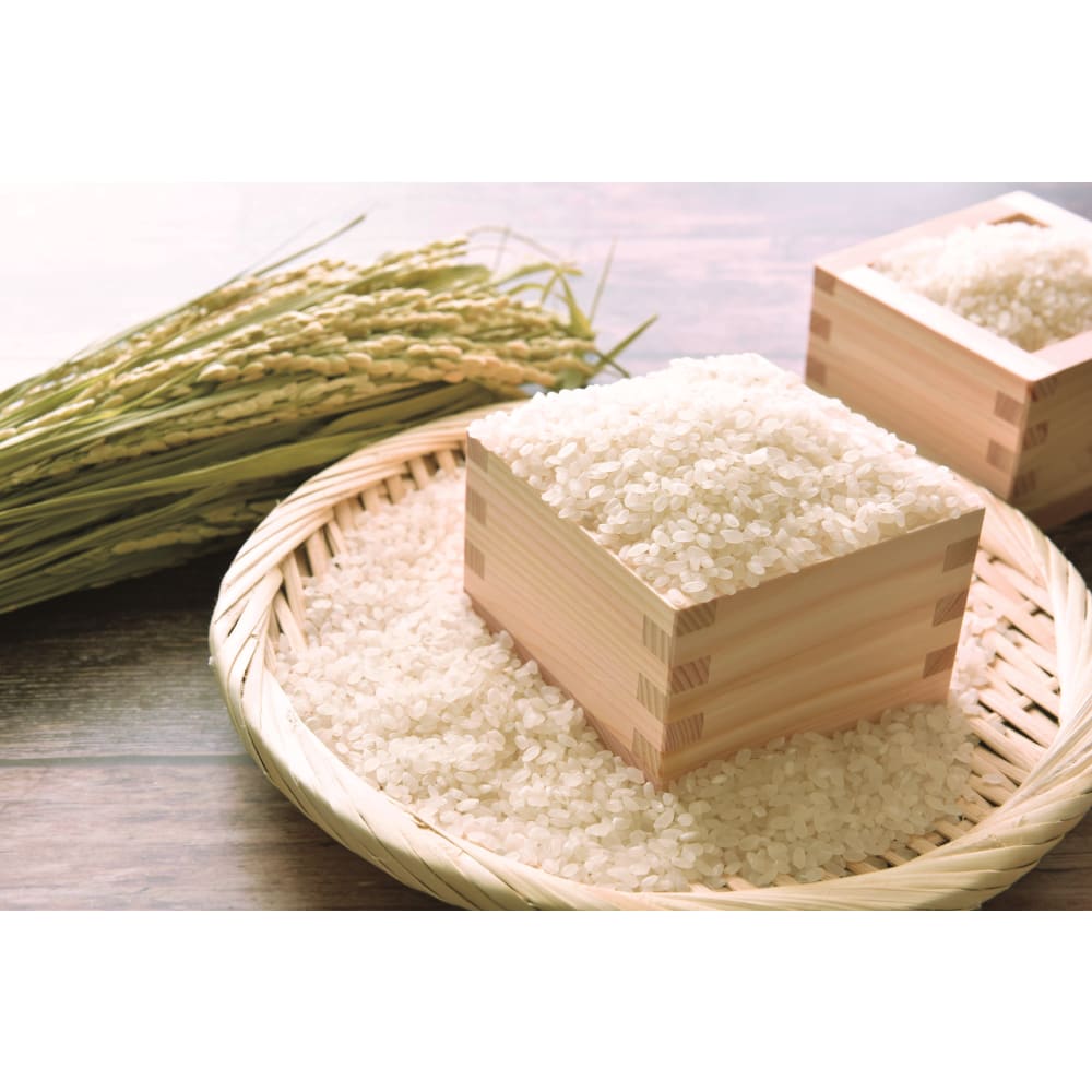 初代田蔵 木箱入りブランド銘柄・無洗米食べくらべ十八雑穀米ギフトセット 2862-036