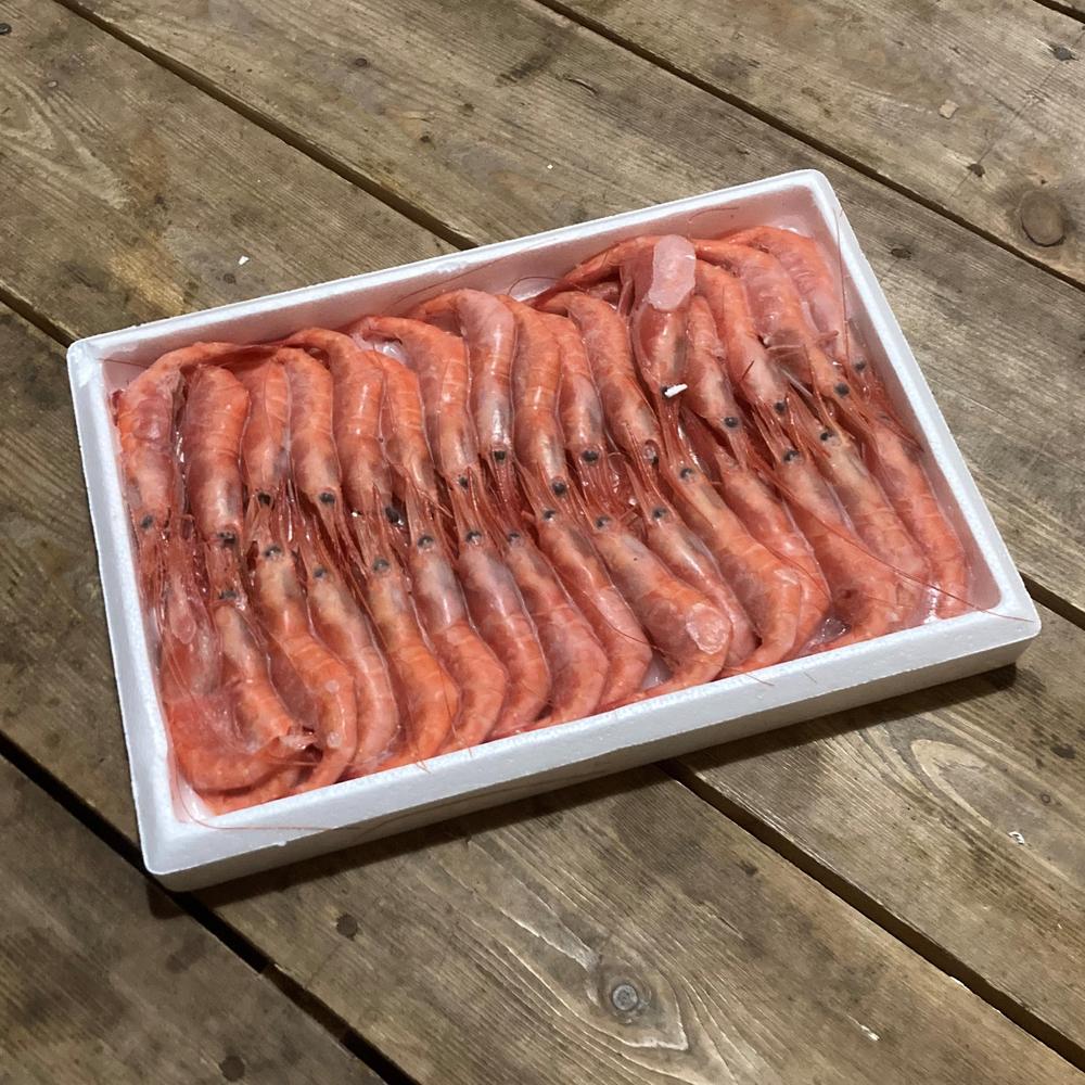 【送料無料】特大甘海老 〈生食用〉1箱（※30尾前後） | まるひな水産