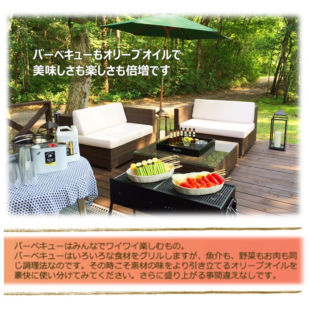 お肉料理におすすめインテンスフルーティーオリーブオイルとダークバルサミコ酢セット | OLiVO（オリーヴォ）