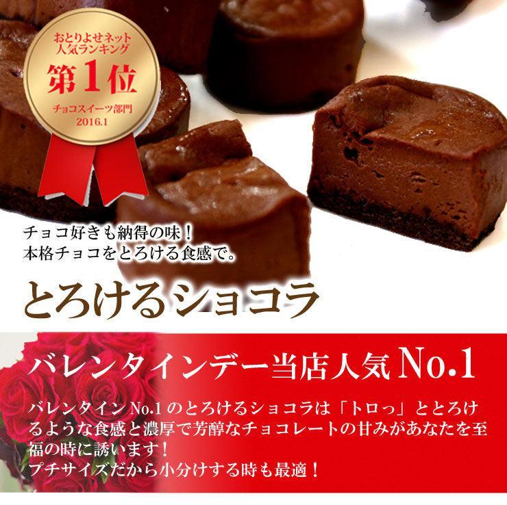 【送料無料】とろけるショコラ15個入(choco03)
