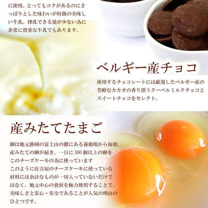 【送料無料】とろけるショコラ15個入(choco03)