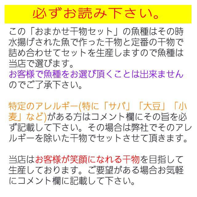 おまかせ干物セット4000円コース
