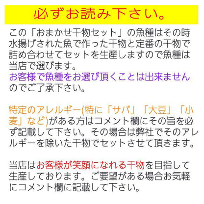 おまかせ干物セット4000円コース