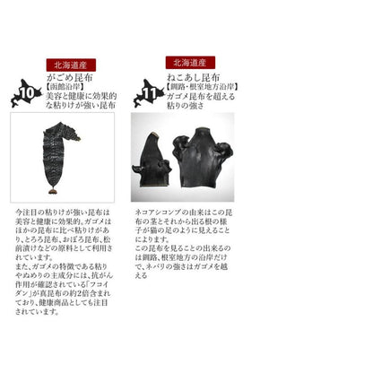 素材