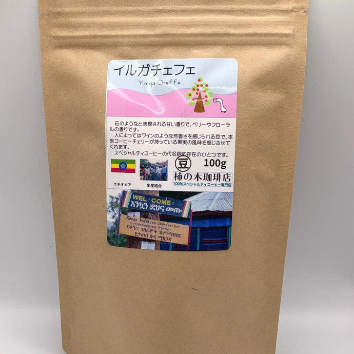 イルガチェフェ（豆） | 柿の木珈琲店