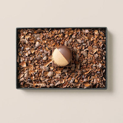 MAMEIL NAMA CHOCOLATE MACARON - Chocolate / Pistachio / Coffee / Blood orange / Creme brulee（6個入）