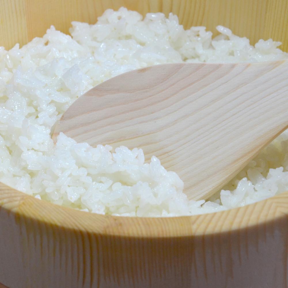 しまんとの米農家に丹誠込めて育てられた、四万十のお米　2合　300g 3個セット