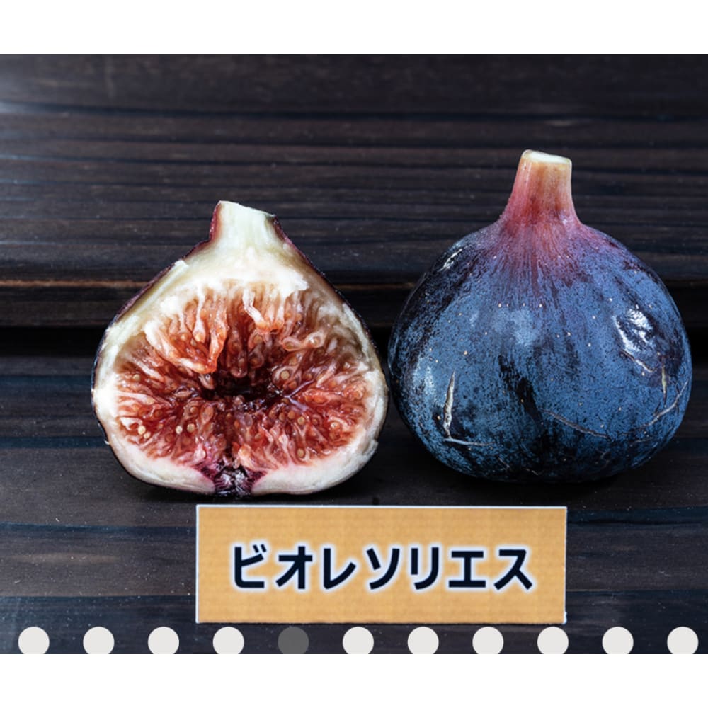 皮ごと食べれるいちじく詰め合わせ（2〜3品種食べ比べ）