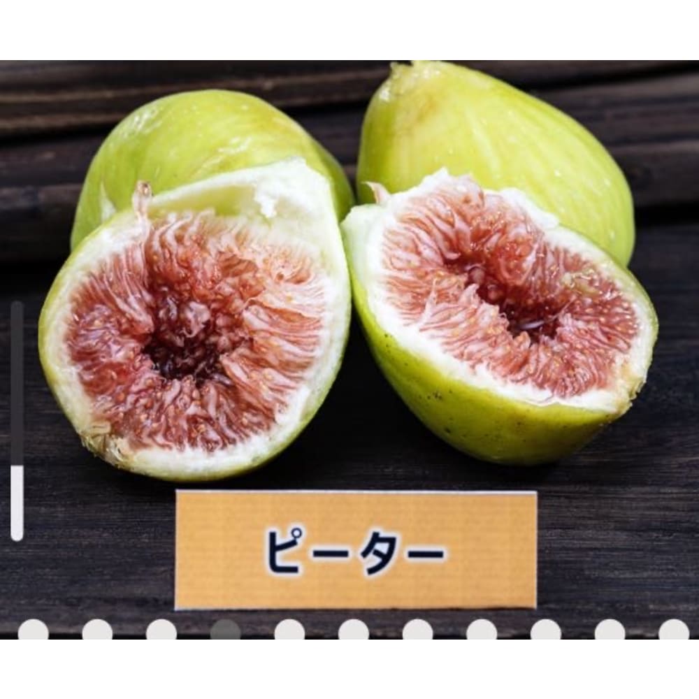 皮ごと食べれるいちじく詰め合わせ（2〜3品種食べ比べ）