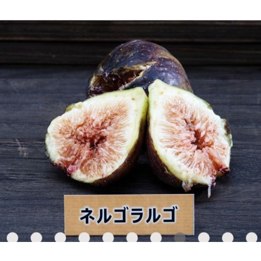 皮ごと食べれるいちじく詰め合わせ（2〜3品種食べ比べ）