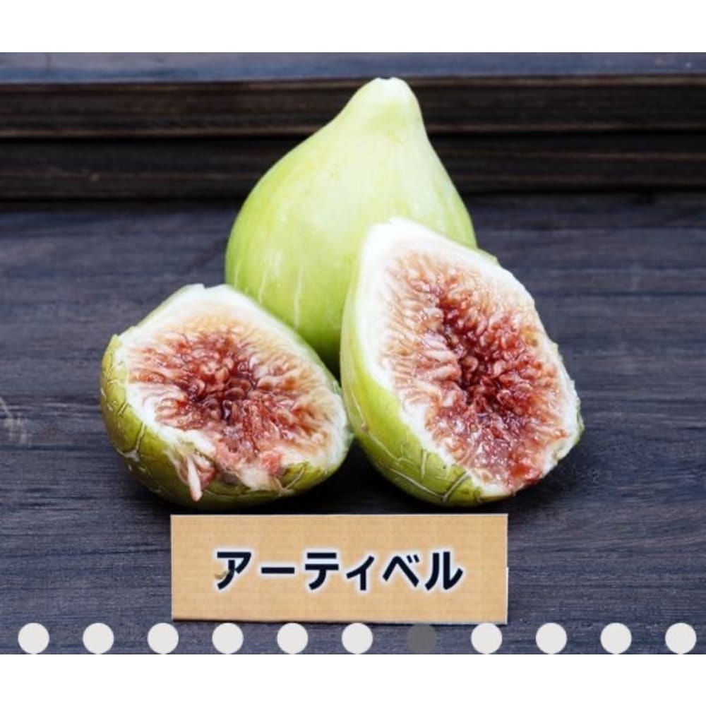 皮ごと食べれるいちじく詰め合わせ（2〜3品種食べ比べ）