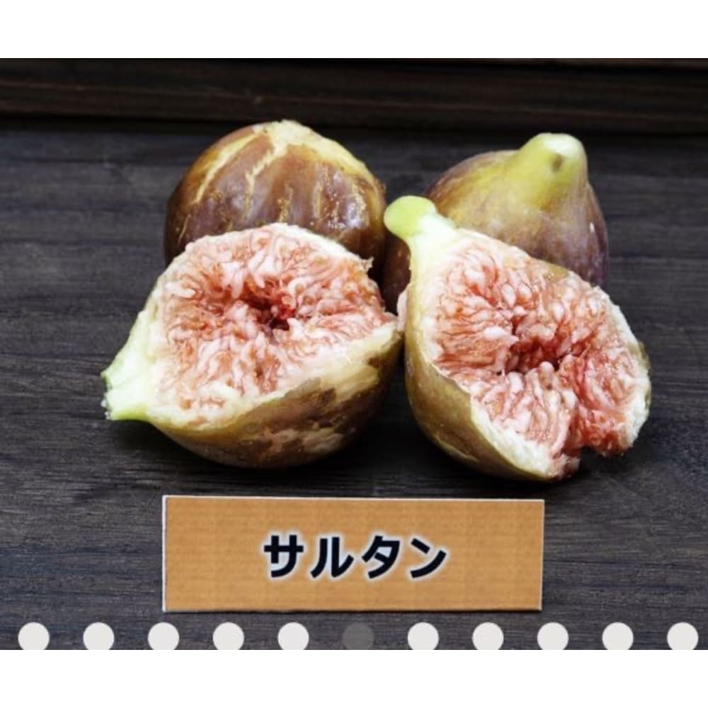 皮ごと食べれるいちじく詰め合わせ（2〜3品種食べ比べ）