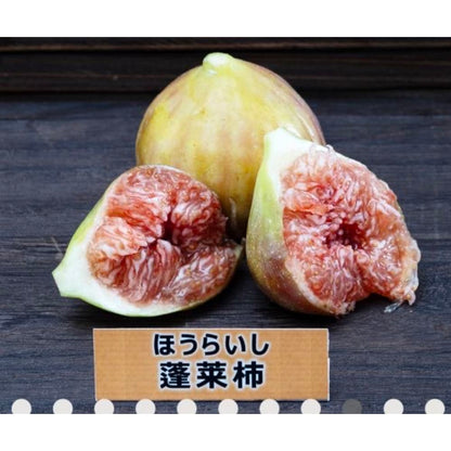皮ごと食べれるいちじく詰め合わせ（2〜3品種食べ比べ）