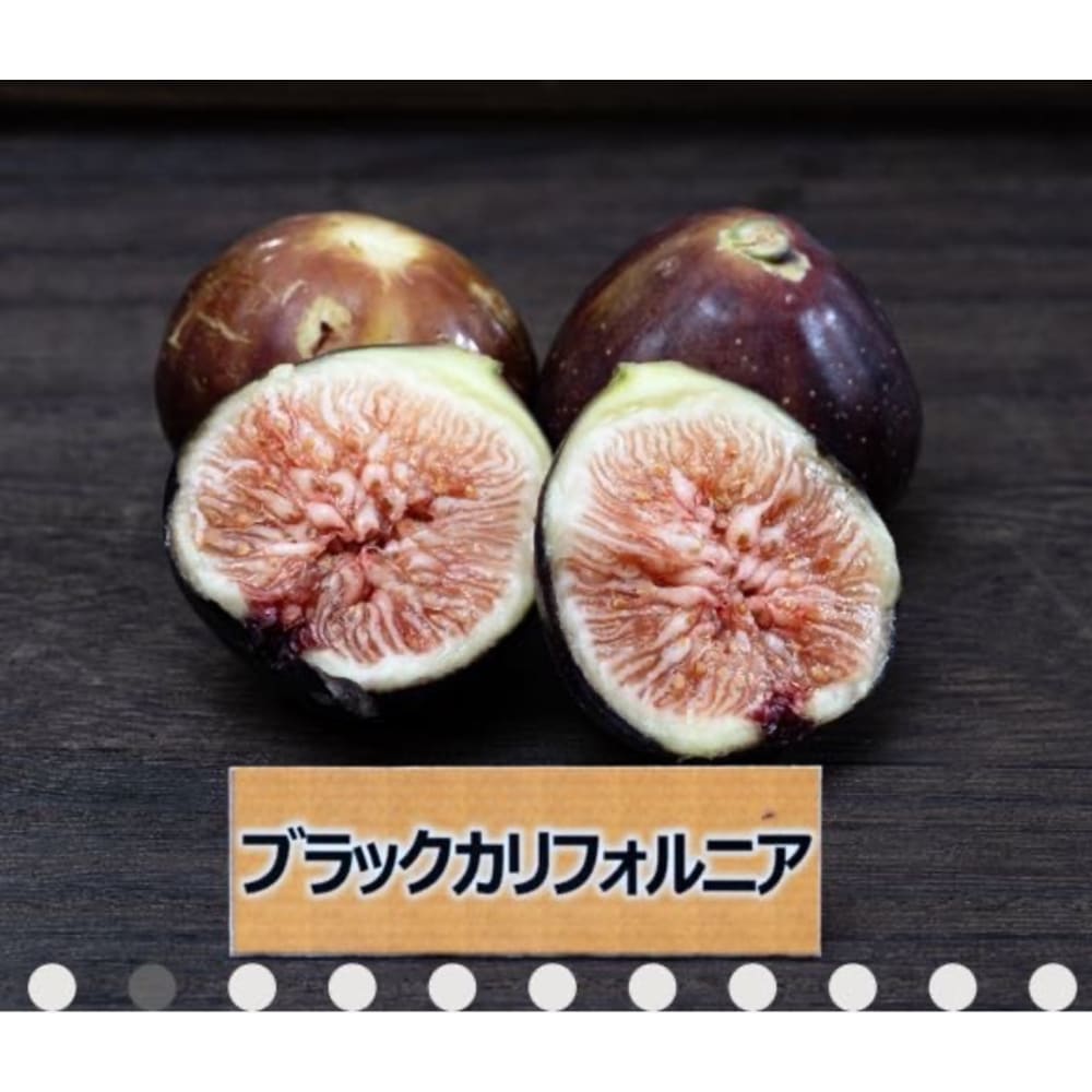 皮ごと食べれるいちじく詰め合わせ（2〜3品種食べ比べ）