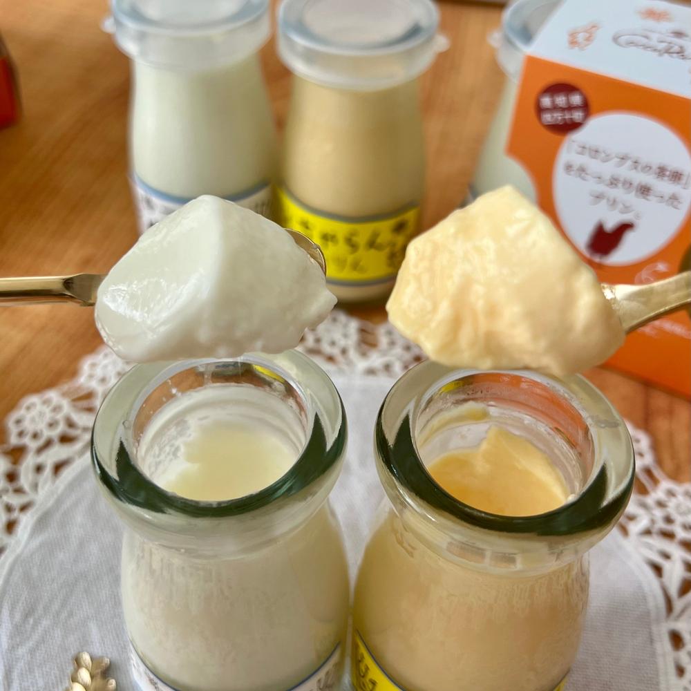 ちゃまごぷりんセット【６セット】 | こっこらんど