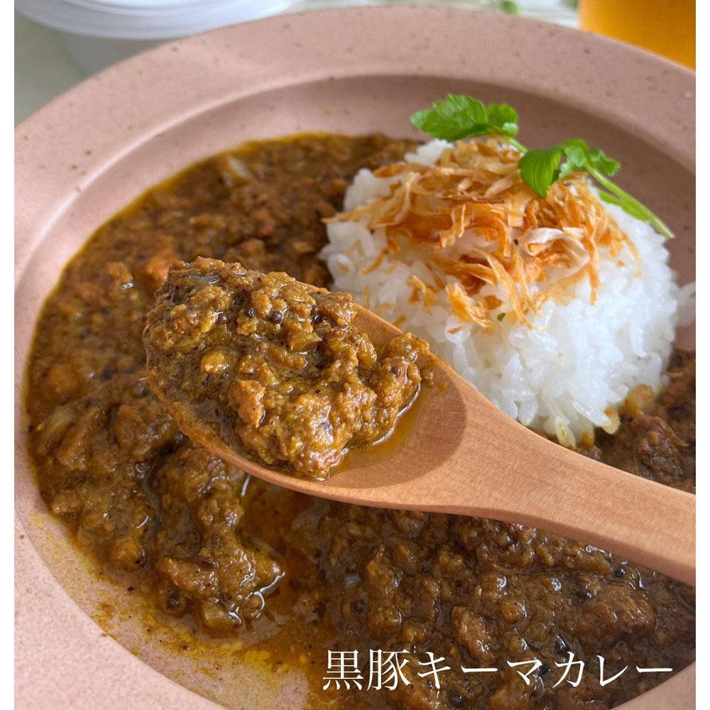 バラエティセット】VOULチキン3個&黒豚キーマ3個 | VOUL CURRY