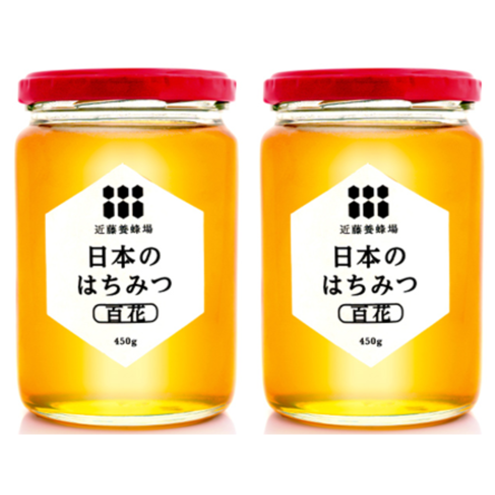 [送料込]日本のはちみつ450g×2本