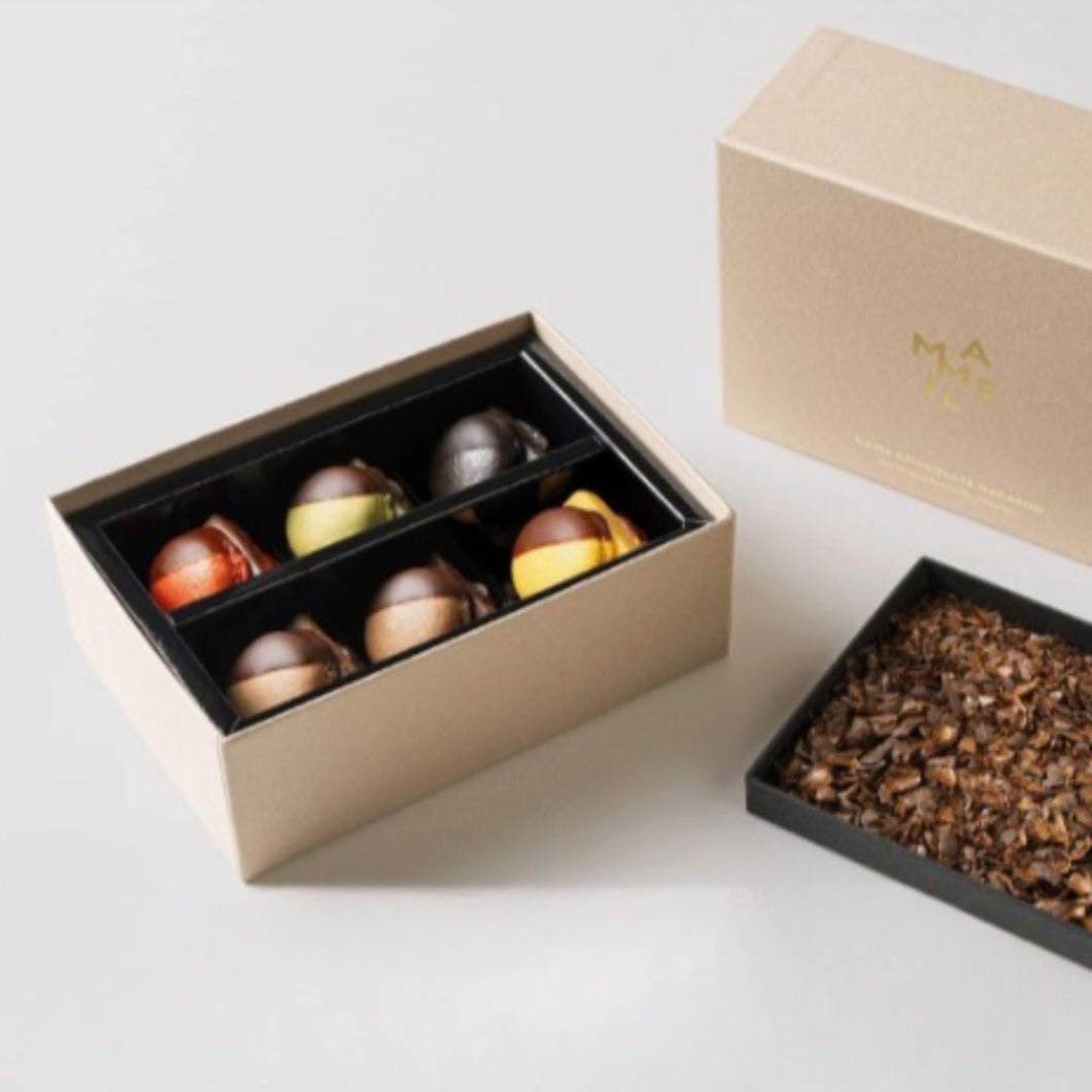 MAMEIL NAMA CHOCOLATE MACARON - Chocolate / Pistachio / Coffee / Blood orange / Creme brulee（6個入）