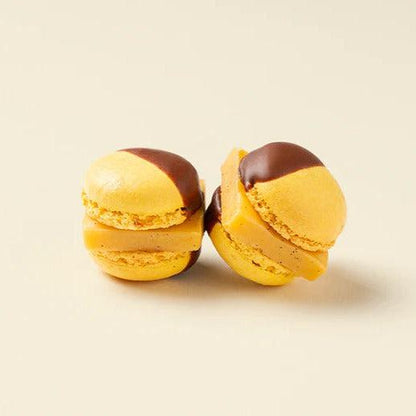 MAMEIL NAMA CHOCOLATE MACARON - Chocolate / Pistachio / Coffee / Blood orange / Creme brulee（6個入）