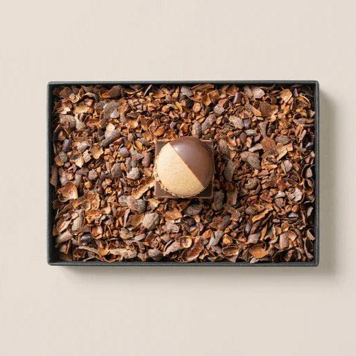 MAMEIL NAMA CHOCOLATE MACARON - Chocolate / Creme brulee（6個入）