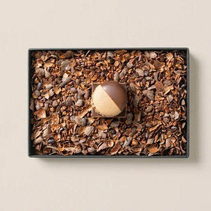 MAMEIL NAMA CHOCOLATE MACARON - Chocolate / Creme brulee（6個入）