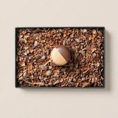 MAMEIL NAMA CHOCOLATE MACARON - Chocolate / Pistachio / Creme brulee（6個入）