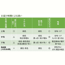 画像をギャラリービューアに読み込む, お届け時期の違いによる特徴
