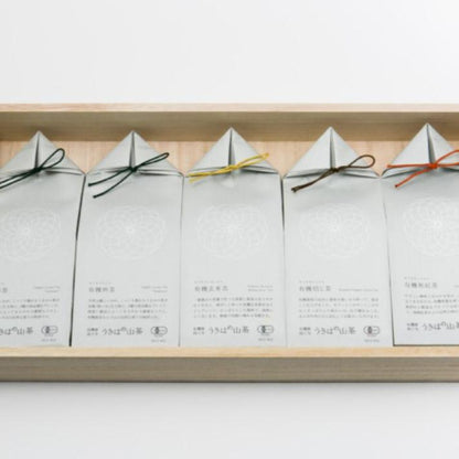 うきはの山茶 5本入 桐箱 GFT5-1 