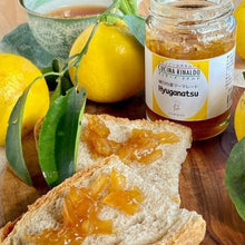 画像をギャラリービューアに読み込む, 日向夏ジャム
