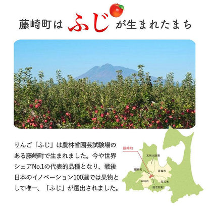 説明