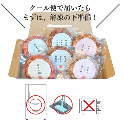 ハンバーグ3兄弟セット（120g×6個入り） | GOODGOODMEAT