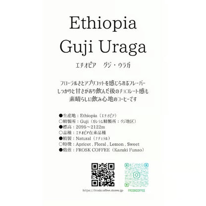 自家焙煎コーヒー豆【エチオピア　グジ・ウラガ】