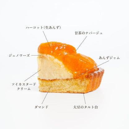 【送料無料】　長野県産ハーコット（あんず） | 国産大豆タルト専門店いとおかしき