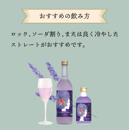 國盛 ラベンダー梅酒