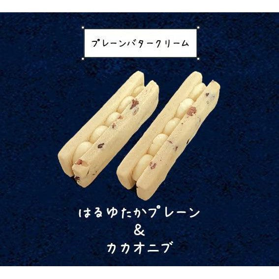 【冷凍】バターサンドクッキーBOX　8個入り　プレーン