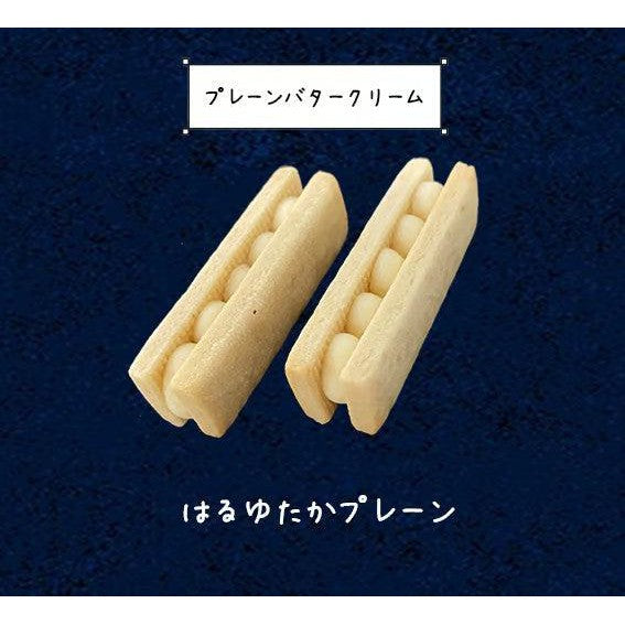 【冷凍】バターサンドクッキーBOX　8個入り　プレーン